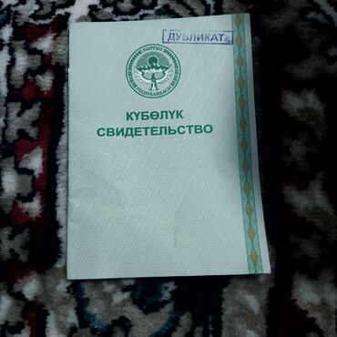 продаю участок 3 сотки: 40 соток, Для сельского хозяйства