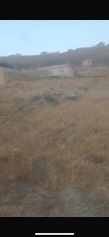 kupcali torpaqlar satisi: 16 sot, Kənd təsərrüfatı, Mülkiyyətçi, Kupça (Çıxarış) — 5