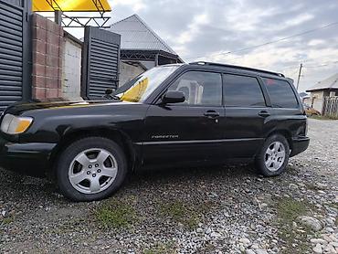 Subaru: Subaru Forester: 2000 г., 2.5 л, Механика, Бензин, Внедорожник — 5