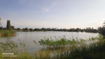 Продажа участков: Для сельского хозяйства