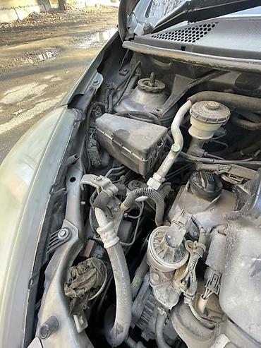 Honda: Honda Fit: 2004 г., 1.5 л, Автомат, Бензин, Хэтчбэк — 12