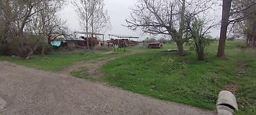 Кыймылсыз мүлк: 12 соток, Айыл чарба үчүн — 1