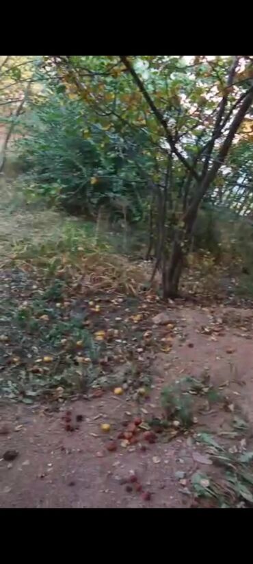 Продажа квартир: 1 комната, 36 м², 106 серия, 1 этаж, Евроремонт — 3