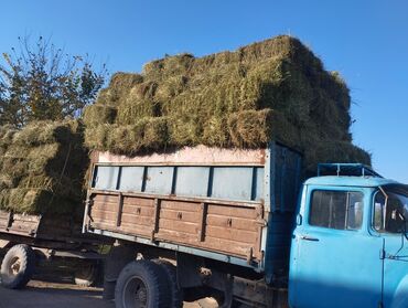 хендай крета бишкек цена: Сено в тюках/кипах - Натуральное луговое сено, спрессованное в