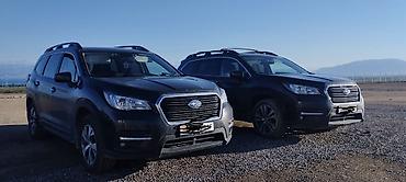 афто чихол: Subaru Ascent: 2019 г., 2.4 л, Автомат, Бензин, Кроссовер — 4