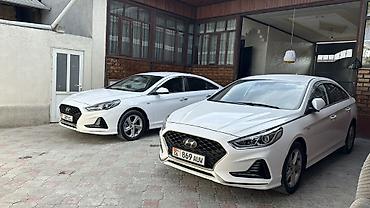Hyundai: Hyundai Sonata: 2023 г., 0.2 л, Автомат, Седан — 11