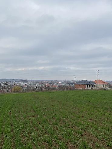mehdiabad torpag: 7 sot, Tikinti, Mülkiyyətçi, Kupça (Çıxarış) — 2
