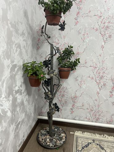 полки каракол: Гүлдөр үчүн текче, Жаңы, Темир, Акылуу жеткирүү, Өзү алып кетүү