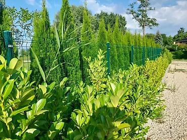 Proizvodi od rolovanog metala, metalni kanali: Panel 3d akcija 153x250 5 mm. Panelna ogradafence system — 5