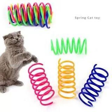 кошки домашние: Игрушка для активного отдыха с кошками, игрушки для котят, кошек