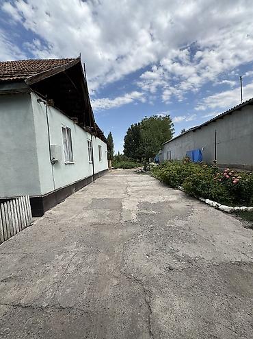 село вознесеновка: 6 комнат, 15 м², Беловодское — 2