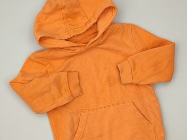 Sweatshirt, Dunnes Stores, 3-4 years, 98-104 cm, condition - Perfect