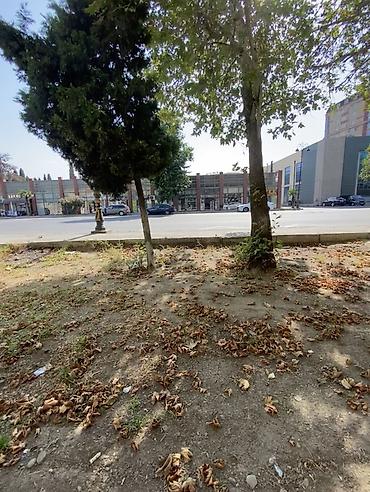 Köhnə tikili: Gəncə, 3 otaqlı, Köhnə tikili, 67 kv. m — 11