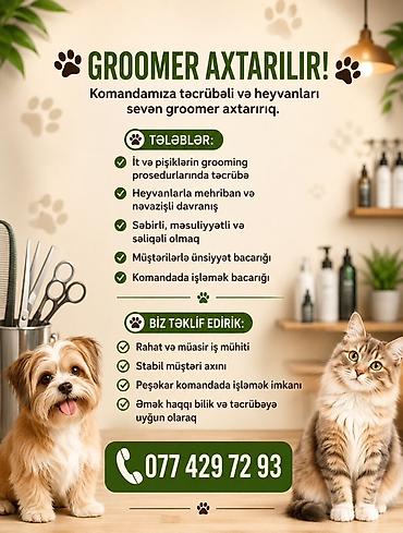 it manej: Groomer axtarılır! Komandamıza təcrübəli və heyvanları sevən groomer — 1