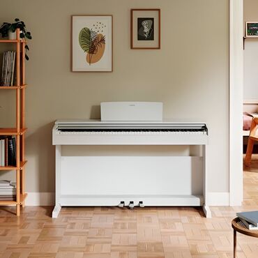 yamaha piano baku: Piano, Yamaha, Yeni, Pulsuz çatdırılma