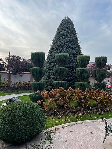 Уборка территории: Уборка территории, Стрижка газона — 6