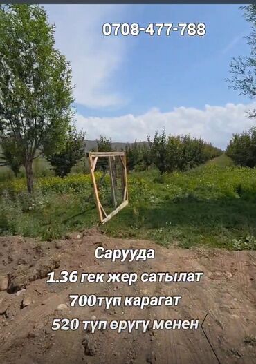 однокомнатная квартира в центре: 136 соток, Айыл чарба үчүн