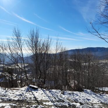 Torpaq sahələrinin satışı: 65 sot, Kənd təsərrüfatı, Mülkiyyətçi, Kupça (Çıxarış), Bələdiyyə — 6