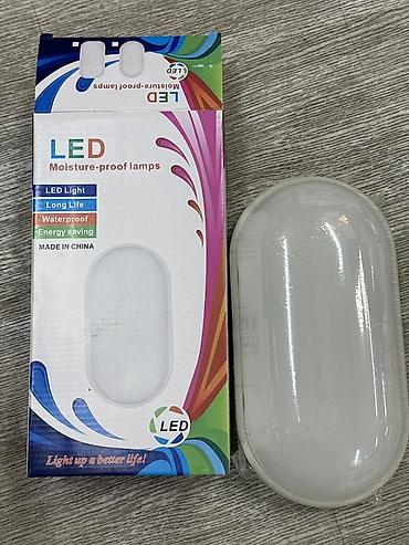Светодиодный влагозащищённый светильник (LED Moisture-proof Lamp) -