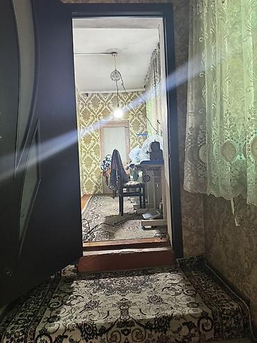 Продажа коттеджей и домов: Дом с участком - Участок с огородом: подготовленные грядки, плодовые — 20