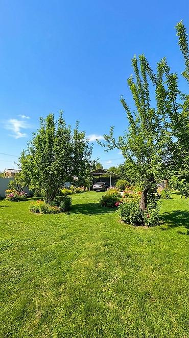 Продажа дач: 🏡 Продаётся полностью обустроенная дача в селе Арашан, ДТ «Электрик» — — 5