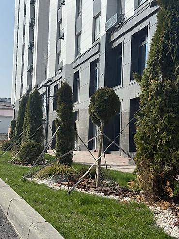 Продажа квартир: 2 комнаты, 59 м², Элитка, 6 этаж — 7