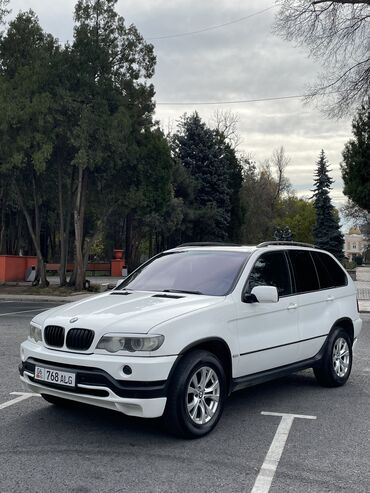 BMW: BMW X5: 4.4 л, Автомат, Бензин, Внедорожник