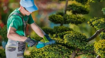 Ölçmə cihazları: Bağ qayçısı