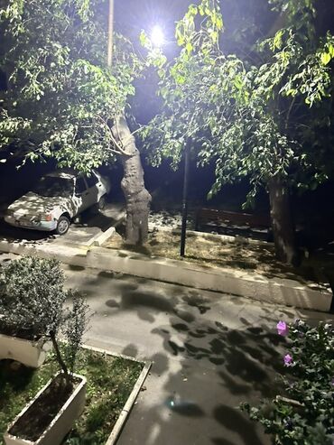 Köhnə tikili: Bakı, 1-ci mikrorayon, 2 otaqlı, Köhnə tikili, m. 20 Yanvar, 37 kv. m — 13