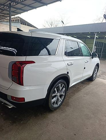 Hyundai: Hyundai Palisade: 2020 г., 2.2 л, Автомат, Дизель, Кроссовер — 6