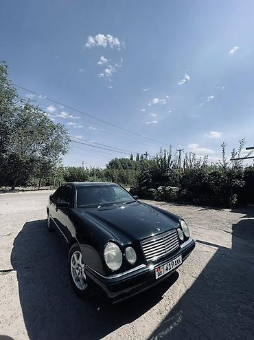 Транспорт: Mercedes-Benz E-Class: 1998 г., 3.2 л, Автомат, Бензин, Седан — 1
