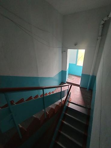 Другие виды отделочных работ: Больше 6 лет опыта — 25