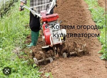 Аренда участков: Копаем огороды. Услуги культиватора