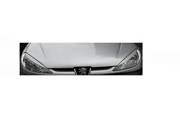 OBRVICE ZA FAROVE OBRVE FAROVA PEUGEOT PEZO 206 | Obrvice za farove na lalafo.rs OBRVICE ZA FAROVE OBRVE FAROVA PEUGEOT PEZO 206 | Obrvice za farove