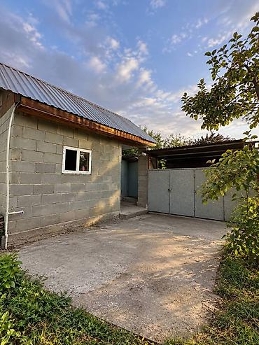 продам участок погребы: 2 комнаты, 56 м², 5 соток, Таш-Добо ж/м, Электричество, Холодная вода, Септик — 8