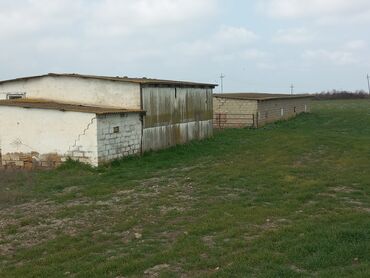 Torpaq sahələrinin satışı: Kənd təsərrüfatı — 6