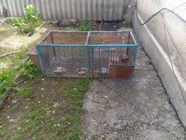клетки для птицы: Продаю клетку для кроликов цена