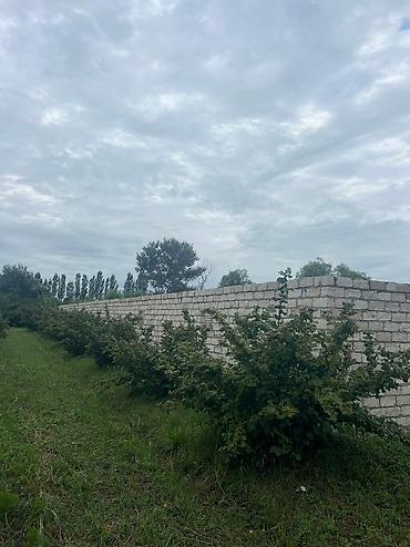 Həyət evləri və villaların satışı: 3 otaqlı, 100 kv. m, Yeni təmirli — 9