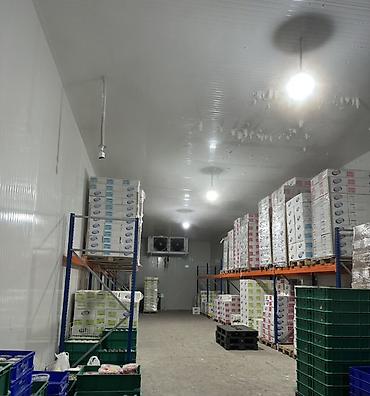 məhəmmədli kirayə: Soyuduculu anbar sahəsi və logistik meydança - Geniş, tam — 2
