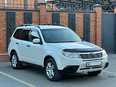 forester 2008: Subaru Forester: 2008 г., Автомат, Бензин, Кроссовер — 1
