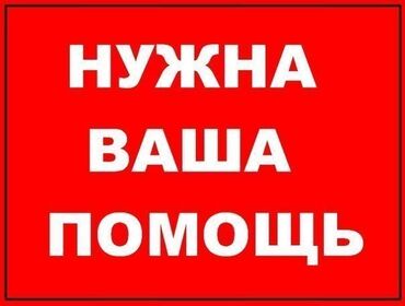 нужно квартиру: 1 бөлмө, Менчик ээси, Чогуу жашоосу жок, Толугу менен эмереги бар