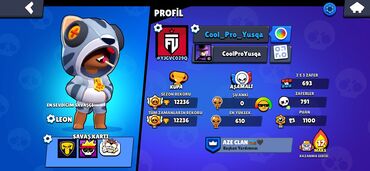 Digər oyun və konsollar: Brawl Stars oyunu üçün hesab təklif olunur. Hesabda 12236 kubok, 791