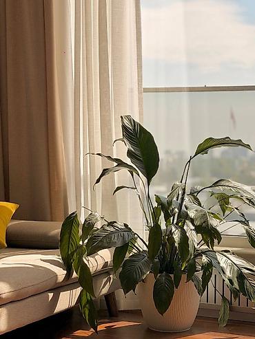 недавно: 3 комнаты, 93 м², Элитка, 10 этаж, Евроремонт — 4