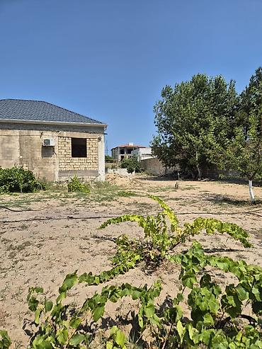 bilgehde torpaq satilir: Bilgəhdə 24 sot torpağ satılır sənədi paket çıxarış su qaz işığ — 3