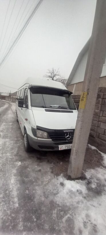 Mercedes-Benz: Mercedes-Benz Sprinter: 2002 г., 3 л, Механика, Дизель, Бус