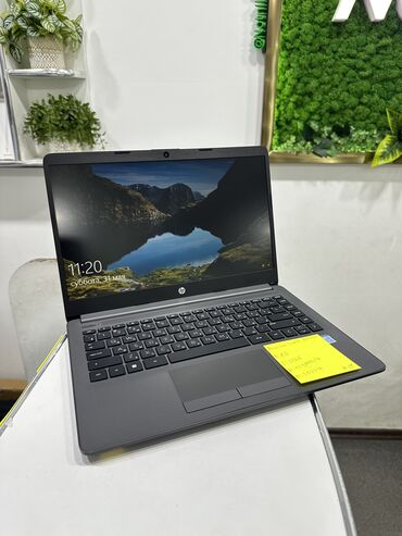 Ноутбуки: Ультрабук, HP, 8 ГБ ОЗУ, Intel Pentium, 14.3 ", Б/у, Для работы, учебы, память SSD