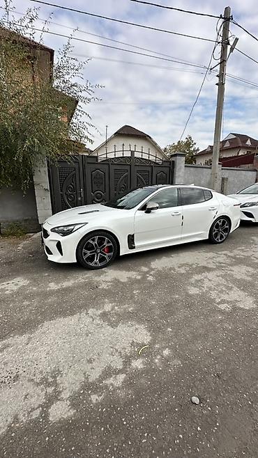 Kia: Kia Stinger: 2018 г., Бензин at lalafo.kg — 5 Kia: Kia Stinger: 2018 г., Бензин — 5