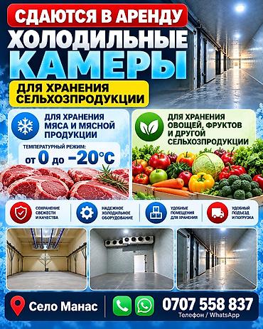 кофе арабика: Холодильный, морозильный — 1