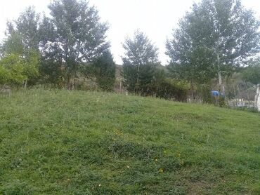 Torpaq sahələrinin satışı: 16 sot, Tikinti, Mülkiyyətçi, Kupça (Çıxarış) — 14