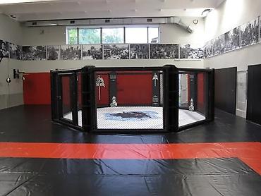 Другое для спорта и отдыха: Ковры маты даянги татами дзюдо борцовские ковры груши чучело медболы — 3